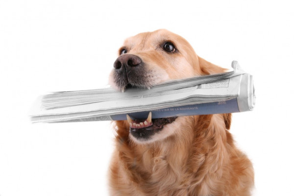 Елена Ваенга исполнила песню про Бобра