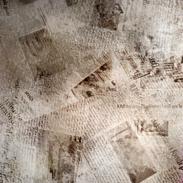 Брянские лыжники стали призёрами турнира в Москве