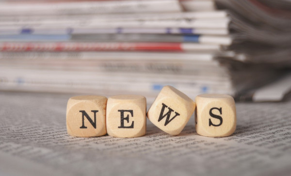 Россиянин нашел удивительный гриб в лесу